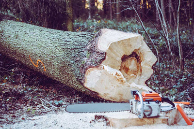 Forestry