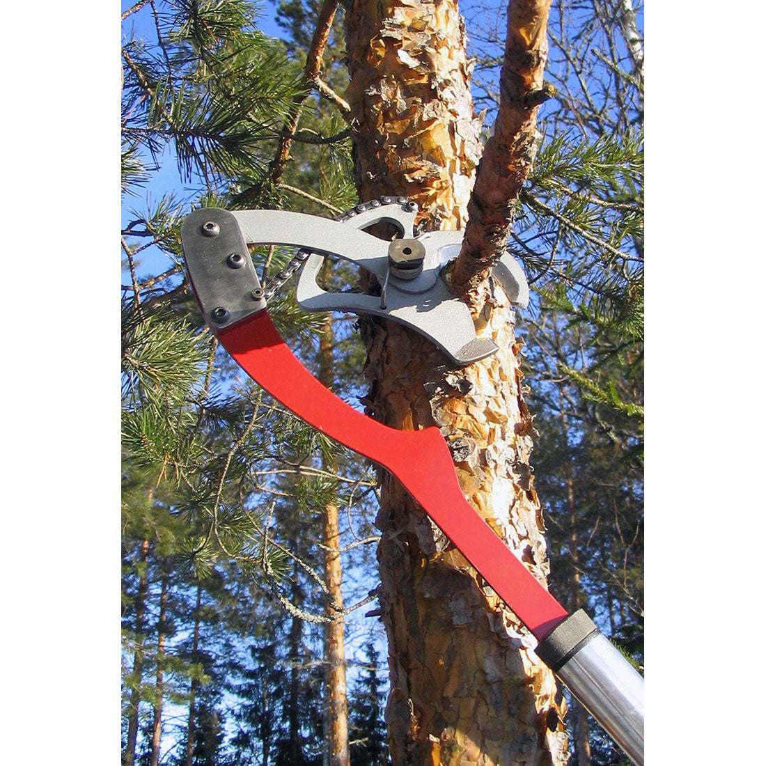 Tree Pruner